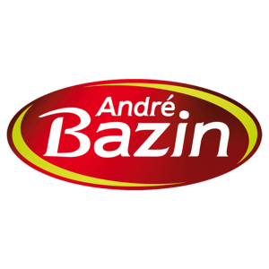 BAZIN